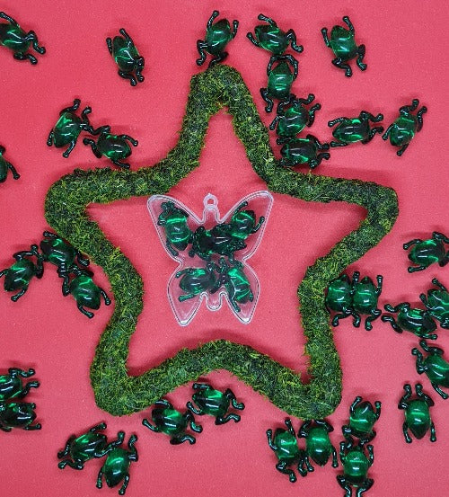 Papillon-Grenouille